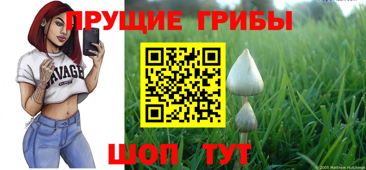 Псилоцибиновые грибы мицелий Торжок