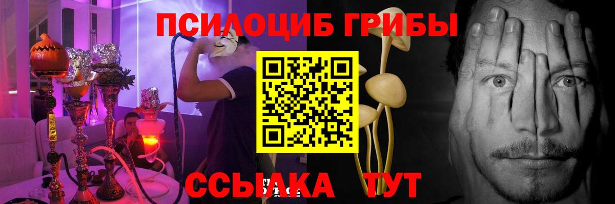Торжок  Псилоцибиновые грибы Psilocybine cubensis  Вход с VPN 
